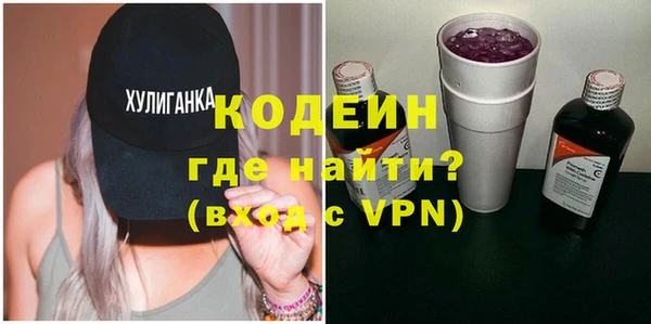 индика Сясьстрой