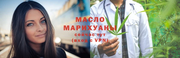 индика Сясьстрой