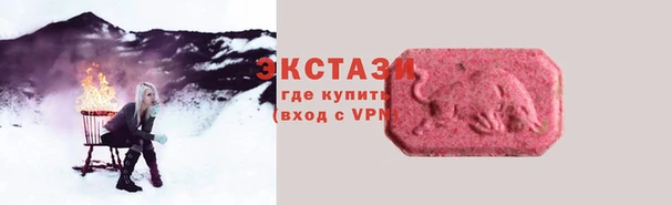 индика Сясьстрой