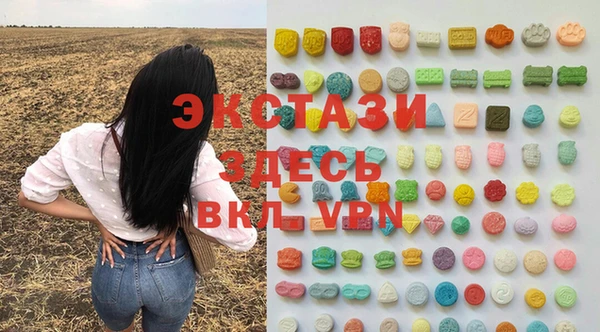 индика Сясьстрой