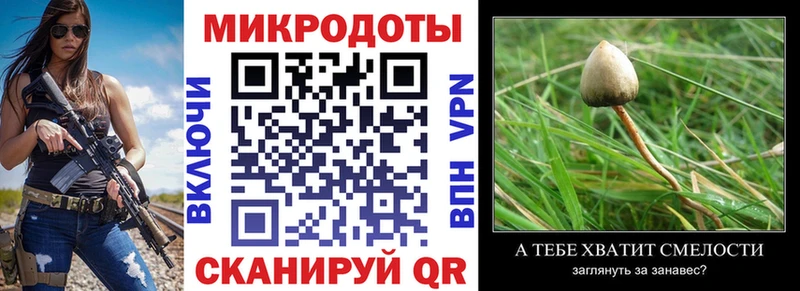 omg онион  закладки  Пятигорск  Галлюциногенные грибы Magic Shrooms 