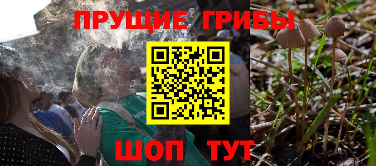Псилоцибиновые грибы GOLDEN TEACHER  Пятигорск  Галлюциногенные грибы ЛСД 
