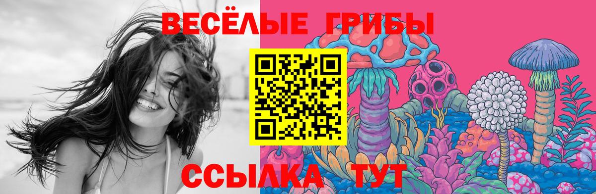 Псилоцибиновые грибы ЛСД  Вход с VPN  Пятигорск 