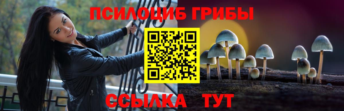 Галлюциногенные грибы ЛСД Пятигорск